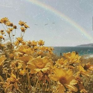 Meet your Posher, Sally grace